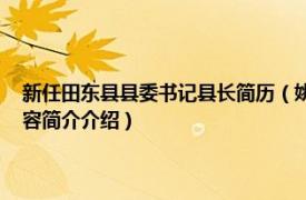 新任田东县县委书记县长简历（姚明 百色市田东县人民政府副县长相关内容简介介绍）