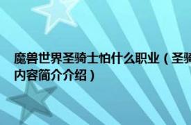 魔兽世界圣骑士怕什么职业（圣骑士 网络游戏《魔兽世界》中的职业相关内容简介介绍）