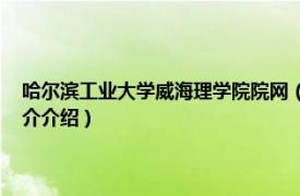 哈尔滨工业大学威海理学院院网（哈尔滨工业大学 威海理学院相关内容简介介绍）