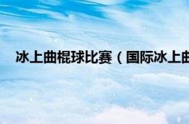 冰上曲棍球比赛（国际冰上曲棍球联合会相关内容简介介绍）