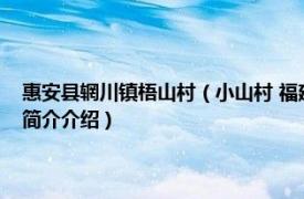 惠安县辋川镇梧山村（小山村 福建省泉州市惠安县辋川镇小山村相关内容简介介绍）