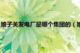 娘子关发电厂是哪个集团的（娘子关发电厂志相关内容简介介绍）