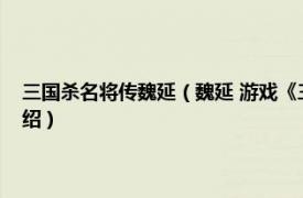 三国杀名将传魏延（魏延 游戏《三国杀英雄传》中的英雄相关内容简介介绍）