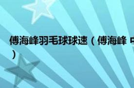 傅海峰羽毛球球速（傅海峰 中国羽毛球运动员相关内容简介介绍）