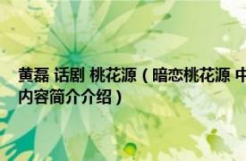 黄磊 话剧 桃花源（暗恋桃花源 中国内地2006年袁泉、黄磊主演话剧相关内容简介介绍）