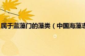 属于蓝藻门的藻类（中国海藻志第一卷蓝藻门相关内容简介介绍）