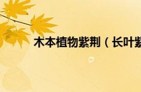 木本植物紫荆（长叶紫荆木相关内容简介介绍）