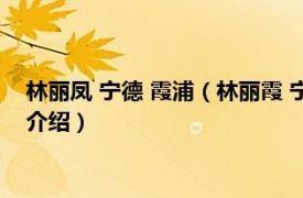 林丽凤 宁德 霞浦（林丽霞 宁德市音乐家协会会员相关内容简介介绍）