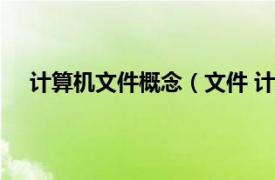 计算机文件概念（文件 计算机文件相关内容简介介绍）