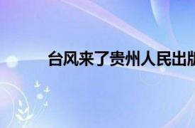 台风来了贵州人民出版社2014年出版图书简介