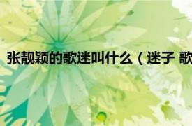 张靓颖的歌迷叫什么（迷子 歌手张靓的别称相关内容简介介绍）