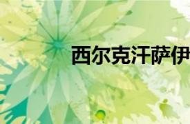 西尔克汗萨伊德相关内容简介