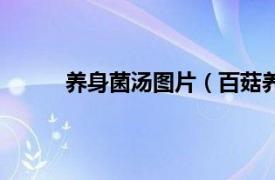 养身菌汤图片（百菇养身汤相关内容简介介绍）