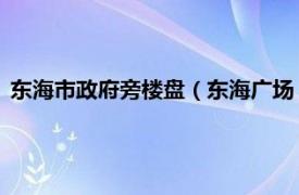 东海市政府旁楼盘（东海广场 上海市的楼盘相关内容简介介绍）