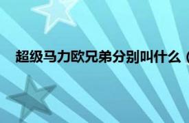 超级马力欧兄弟分别叫什么（超级马力欧相关内容简介介绍）