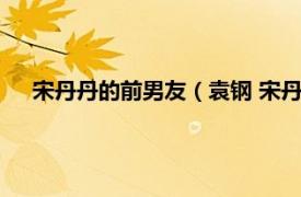 宋丹丹的前男友（袁钢 宋丹丹初恋男友相关内容简介介绍）