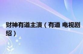 财神有道主演（有道 电视剧《财神有道》中人物相关内容简介介绍）