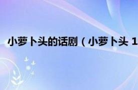 小萝卜头的话剧（小萝卜头 1999年儿童剧相关内容简介介绍）