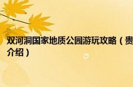 双河洞国家地质公园游玩攻略（贵州缓阳双河洞国家地质公园相关内容简介介绍）