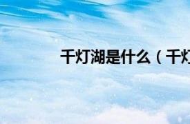 千灯湖是什么（千灯湖相关内容简介介绍）