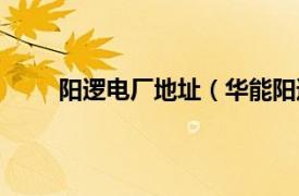 阳逻电厂地址（华能阳逻电厂相关内容简介介绍）