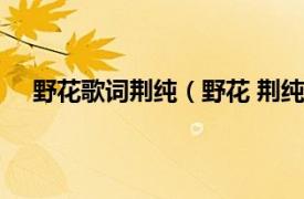 野花歌词荆纯（野花 荆纯演唱歌曲相关内容简介介绍）