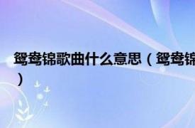 鸳鸯锦歌曲什么意思（鸳鸯锦 刘紫玲演唱歌曲相关内容简介介绍）