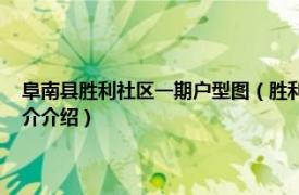 阜南县胜利社区一期户型图（胜利社区 安徽省阜南县下辖社区相关内容简介介绍）