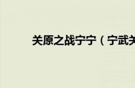 关原之战宁宁（宁武关之战相关内容简介介绍）