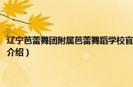 辽宁芭蕾舞团附属芭蕾舞蹈学校官网（辽宁芭蕾舞团舞蹈学校相关内容简介介绍）