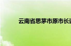 云南省思茅市原市长谢涛简要介绍了相关内容