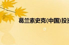 葛兰素史克(中国)投资有限公司公共事务总监