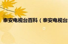 泰安电视台百科（泰安电视台旅游文化频道相关内容简介介绍）