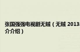 张国强强电视剧无贼（无贼 2013年张国强、殷桃主演的电视剧相关内容简介介绍）