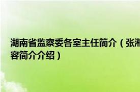 湖南省监察委各室主任简介（张湘祥 湖南省监察厅正厅级监察专员相关内容简介介绍）