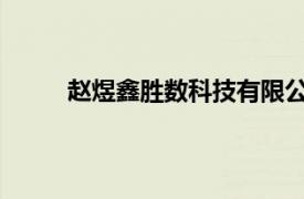 赵煜鑫胜数科技有限公司执行董事、总经理简介