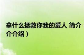 拿什么拯救你我的爱人 简介（拿什么拯救你我的爱人相关内容简介介绍）