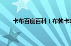 卡布百度百科（布勃卡1963～相关内容简介介绍）