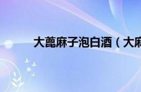 大蓖麻子泡白酒（大麻子酒相关内容简介介绍）