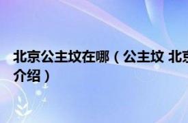 北京公主坟在哪（公主坟 北京朝阳区草房村公主坟相关内容简介介绍）