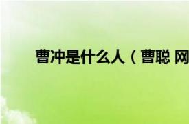 曹冲是什么人（曹聪 网络主播相关内容简介介绍）