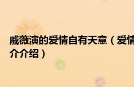 戚薇演的爱情自有天意（爱情自有天意 戚薇演唱歌曲相关内容简介介绍）