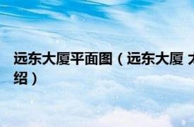 远东大厦平面图（远东大厦 太原市远东大厦楼盘相关内容简介介绍）