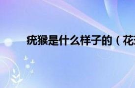 疣猴是什么样子的（花斑疣猴相关内容简介介绍）