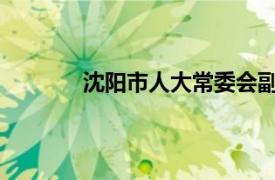 沈阳市人大常委会副主任高介绍了相关内容