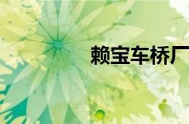 赖宝车桥厂相关内容简介