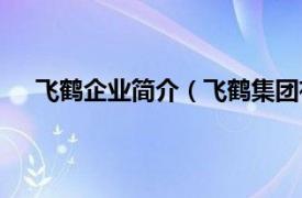 飞鹤企业简介（飞鹤集团有限公司相关内容简介介绍）