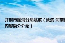 开封市顺河分局姚滨（姚滨 河南省开封市顺河回族区人民政府副区长相关内容简介介绍）