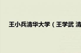 王小兵清华大学（王学武 清华大学教授相关内容简介介绍）