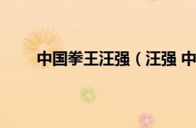 中国拳王汪强（汪强 中国拳手相关内容简介介绍）